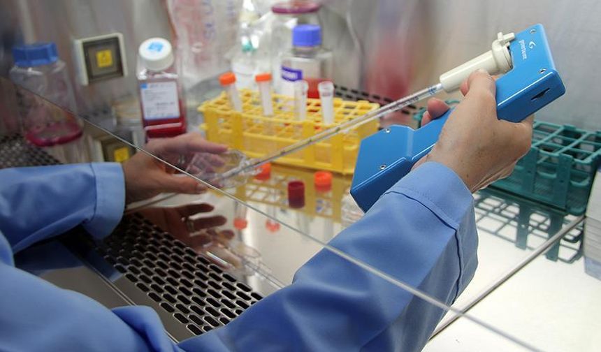 Kanser Tedavisinde En Yeni 4 Gelişme!