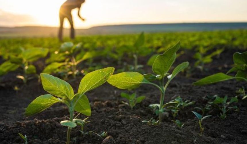 TRAKYAKA Kırsal Kalkınma Desteklerini Sürdürüyor