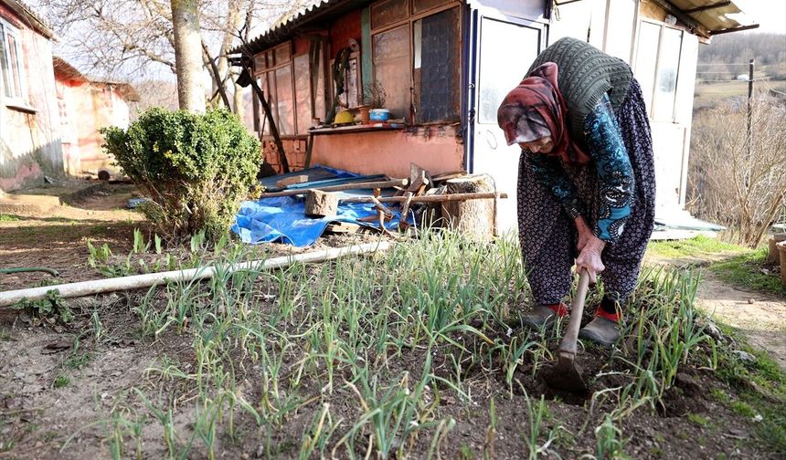 Kırklareli; Hatice Nine Yaşam Enerjisiyle Örnek Oluyor