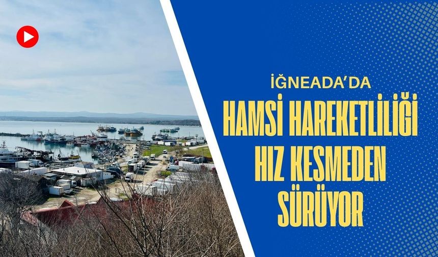 İğneada’da Hamsi Hareketliliği Hız Kesmeden Sürüyor