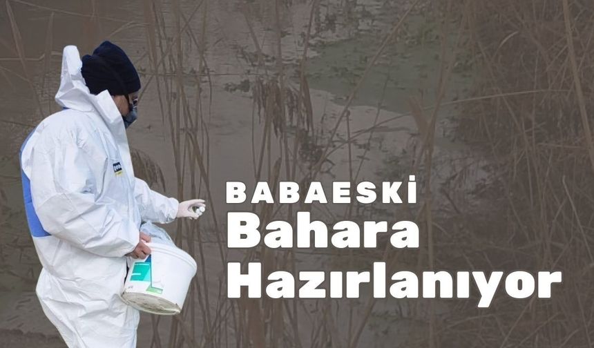 Babaeski Bahara Hazırlanıyor