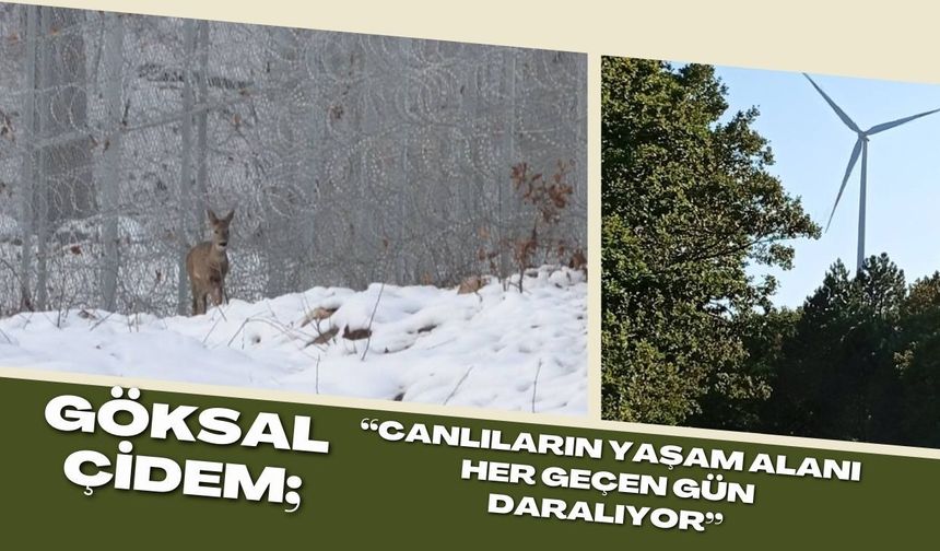 Çidem; “Canlıların Yaşam Alanı Her Geçen Gün Daralıyor”