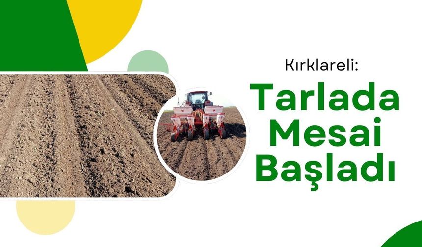 Kırklareli: Tarlada Mesai Başladı