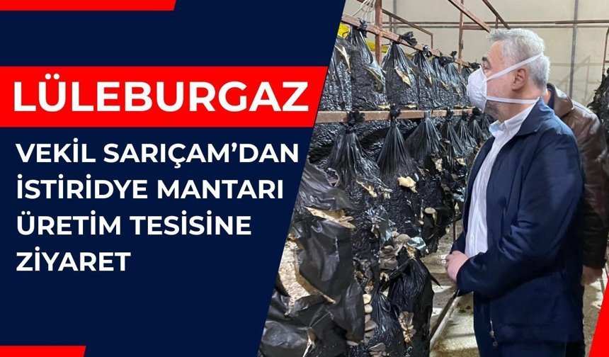 Vekil Sarıçam’dan İstiridye Mantarı Üretim Tesisine Ziyaret