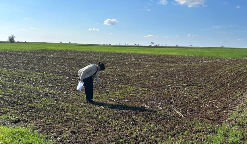 Lüleburgaz, Tarım Alanı Yoğunluk Sıralamasında İlk 20’de