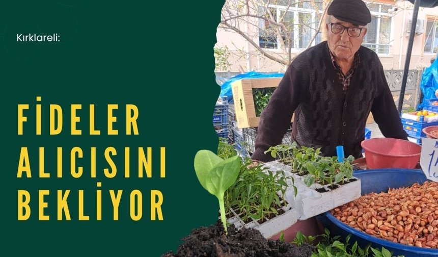 Kırklareli: Fideler Alıcısını Bekliyor