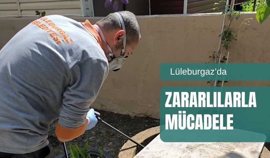 Lüleburgaz’da Zararlılarla Mücadele Sürüyor