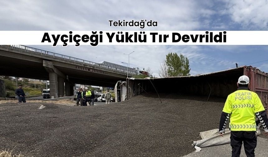 Tekirdağ'da Ayçiçeği Yüklü Tır Devrildi