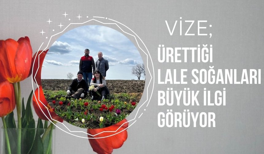 VİZE; Ürettiği Lale Soğanları Büyük İlgi Görüyor