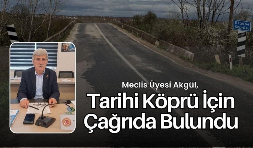 Meclis Üyesi Akgül, Tarihi Köprü İçin Çağrıda Bulundu
