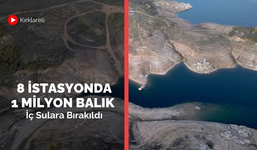 Kırklareli: 8 İstasyonda 1 Milyon Balık İç Sulara Bırakıldı