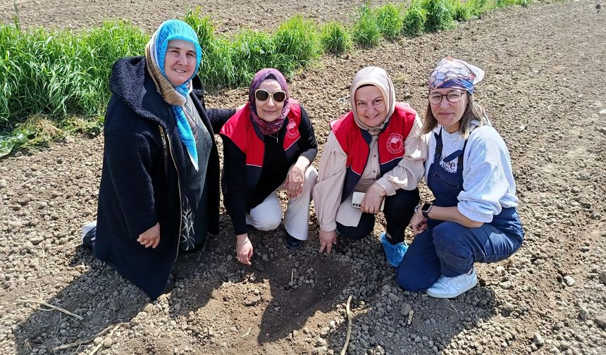Babaeski’de Kadın Üreticiler Ziyaret Edildi