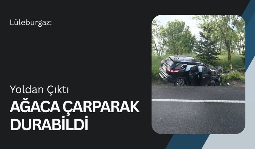 Lüleburgaz: Yoldan Çıktı Ağaca Çarparak Durabildi