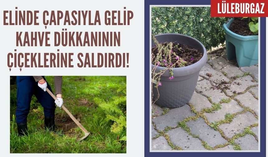 Elinde Çapasıyla Gelip Kahve Dükkanının Çiçeklerine Saldırdı!