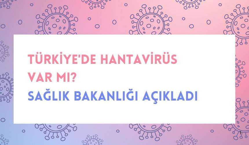 Türkiye'de Hantavirüs var mı? Sağlık Bakanlığı Açıkladı