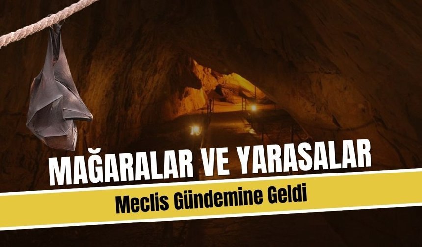 Kırklareli: Mağaralar ve Yarasalar Meclis Gündemine Geldi
