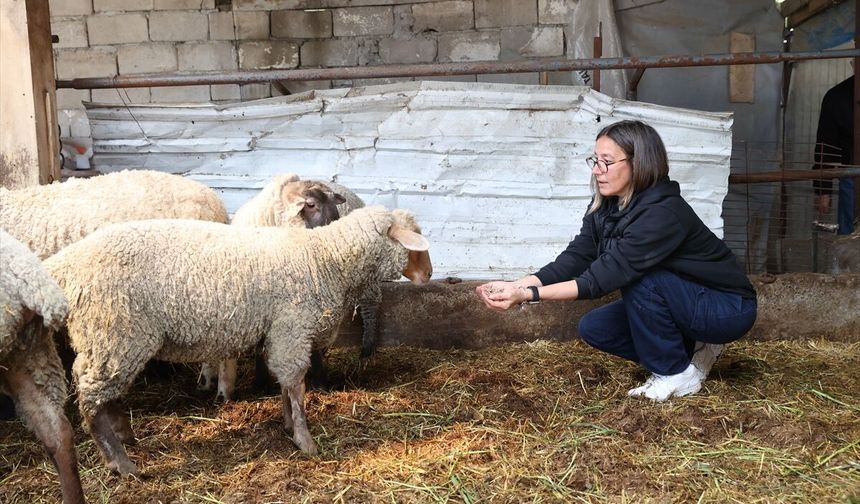 Kırklareli’ndeki Köyüne Döndü Hem Muhasebecilik Hem Çiftçilik Yapıyor