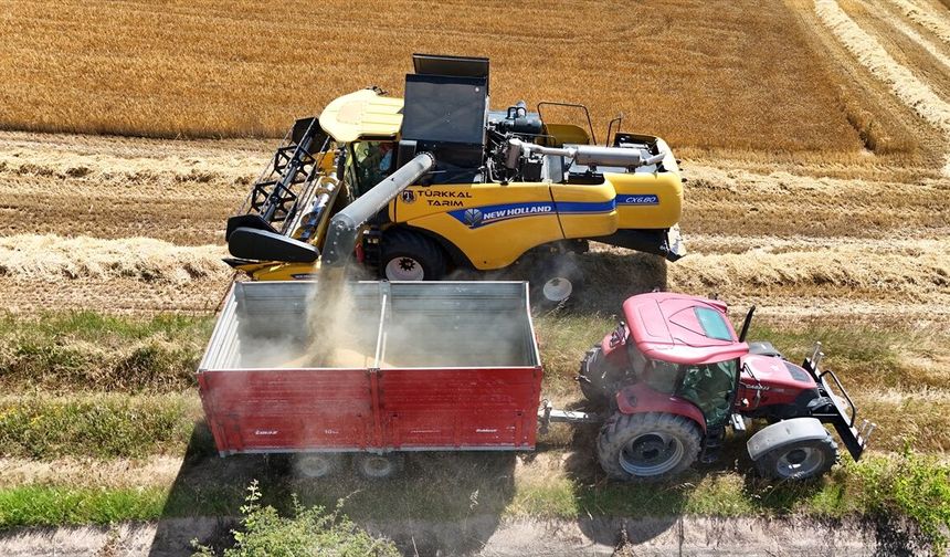 Trakya'da Arpa Hasadı Mesaisi Sürüyor