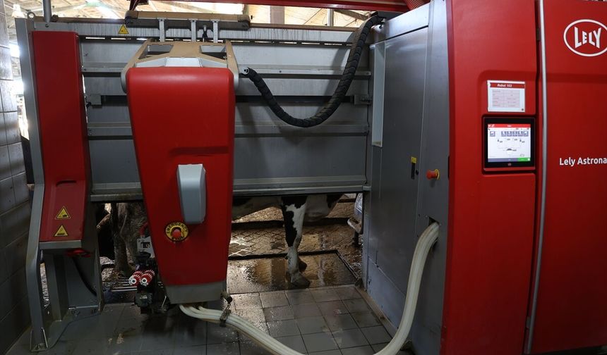 Süt Sağım Robotları Sayesinde Hayvanlarının Sağlığını Koruyup Üretimi Artırdılar
