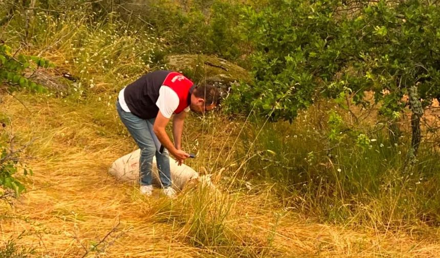Kırklareli; İl Tarım Müdürlüğü’nden Hasar Tespit Çalışması