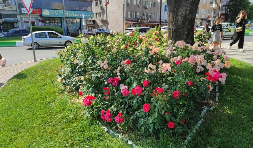 Kırklareli’nde Köşe Bucak Rengarenk