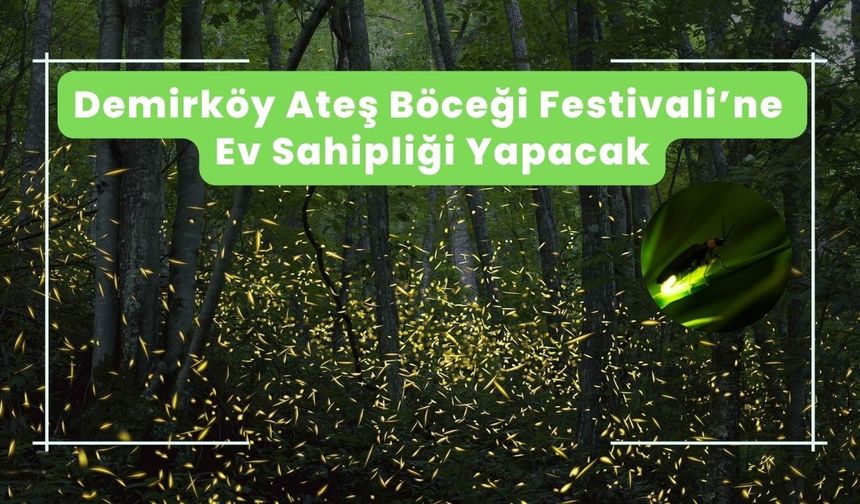 Demirköy Ateş Böceği Festivali’ne Ev Sahipliği Yapacak