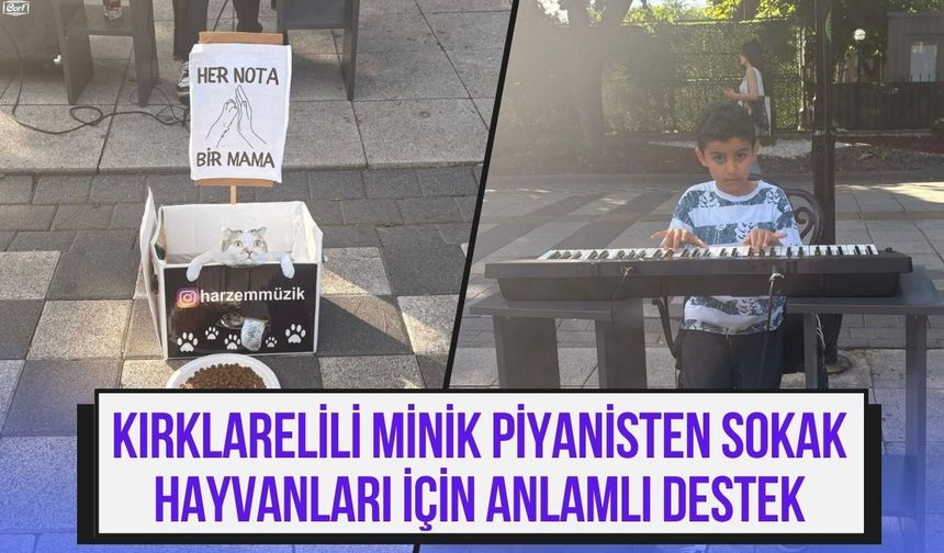 Kırklarelili Minik Piyanistten Sokak Hayvanları İçin Anlamlı Destek