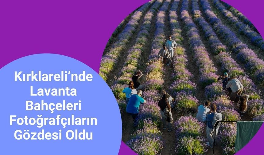 Kırklareli’nde Lavanta Bahçeleri Fotoğrafçıların Gözdesi Oldu