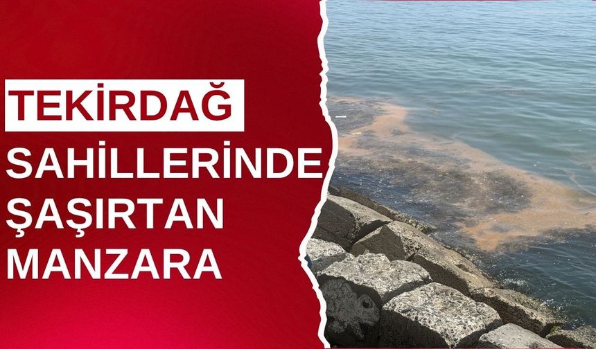 Tekirdağ Sahillerinde Şaşırtan Manzara: Deniz Renk Değiştirdi