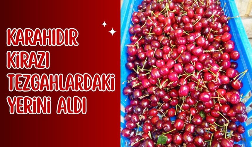 Karahıdır Kirazı Tezgahlardaki Yerini Aldı