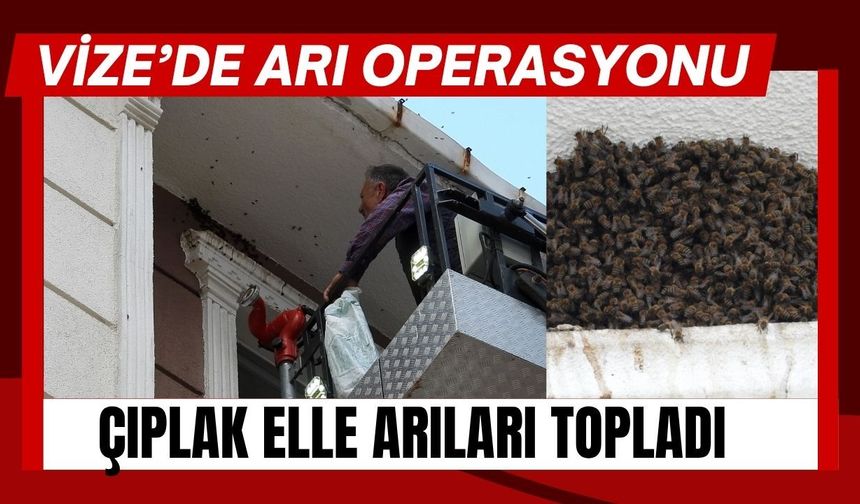 VİZE’DE ARI OPERASYONU; Çıplak Elle Arıları Topladı