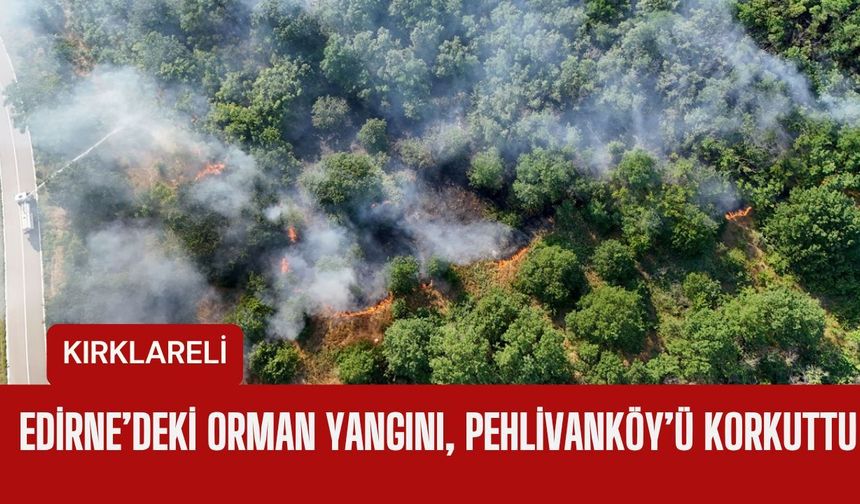 Edirne’deki Orman Yangını, Pehlivanköy’ü Korkuttu