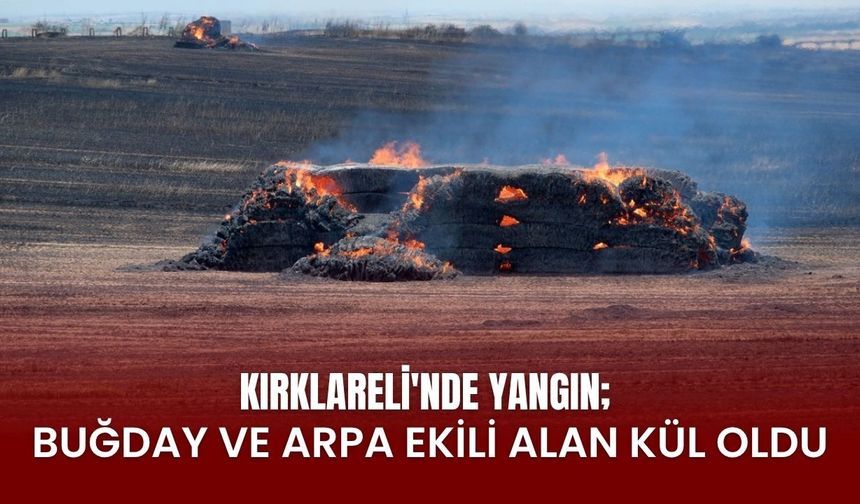 KIRKLARELİ'NDE YANGIN; Buğday Ve Arpa Ekili Alan Kül Oldu