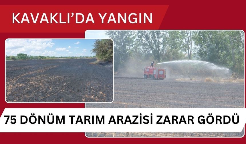 KAVAKLI’DA YANGIN; 75 Dönüm Tarım Arazisi Zarar Gördü