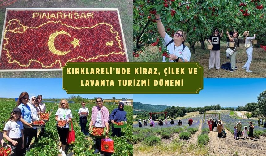 Kırklareli’nde Kiraz, Çilek ve Lavanta Turizmi Dönemi