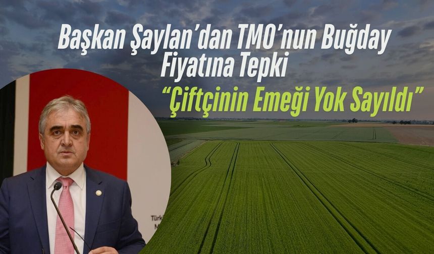Başkan Şaylan’dan TMO’nun Buğday Fiyatına Tepki; “Çiftçinin Emeği Yok Sayıldı”