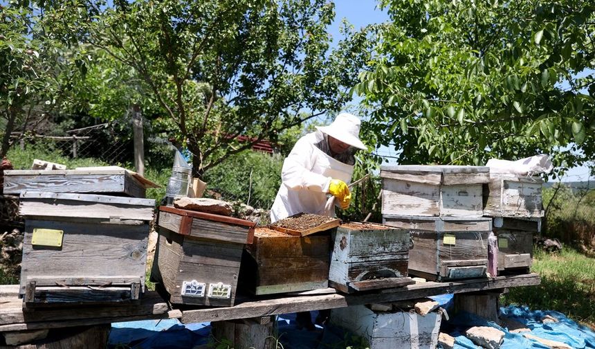 Kırklareli; Huzuru Doğada Buldu