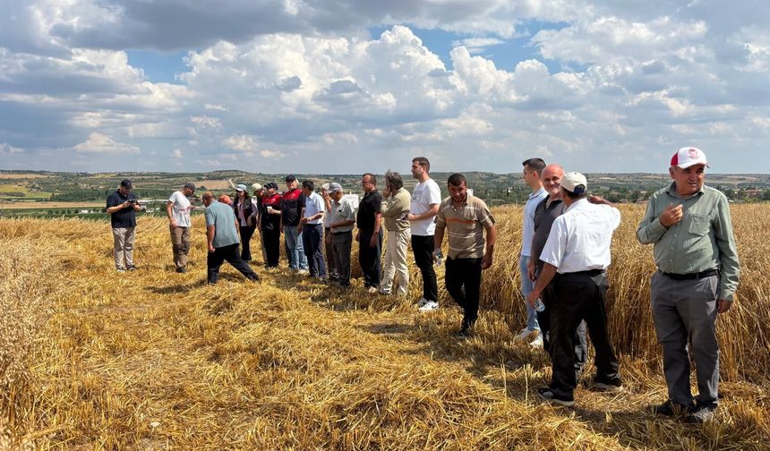 Asilbeyli Köyünde Yulaf Tarla Günü Yapıldı