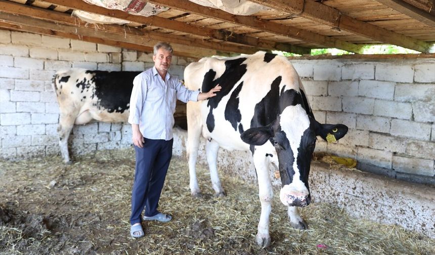 Kırklareli; Eski Hükümlünün Hedefi Modern Tesis Kurmak