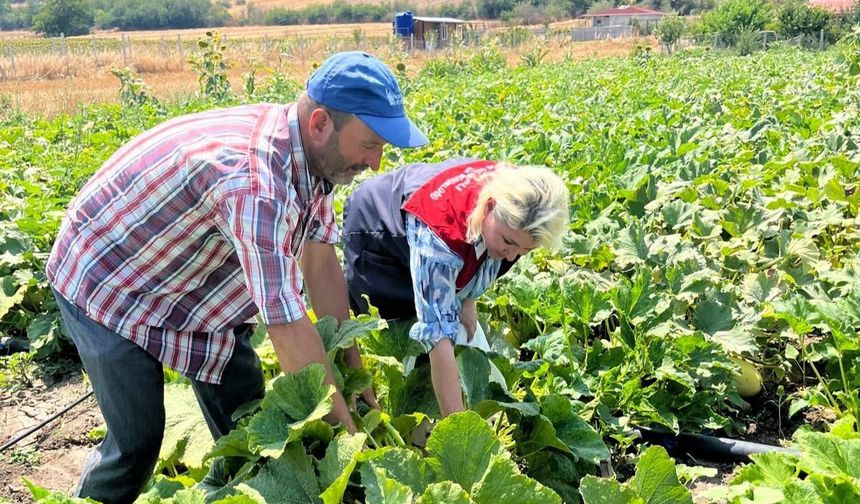 Lüleburgaz’da Çerezlik Kabak Demonstrasyonu İncelendi