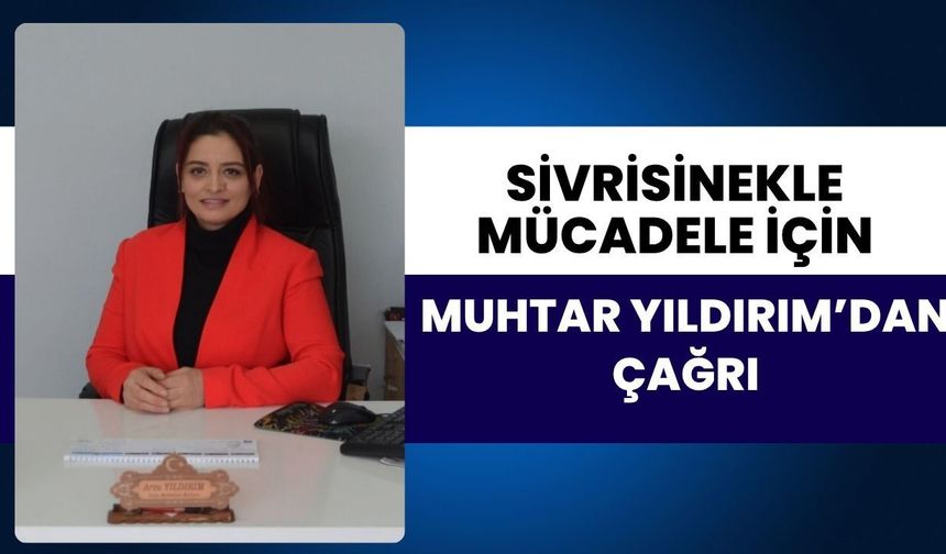 Sivrisinekle Mücadelede Muhtar Yıldırım’dan Çağrı