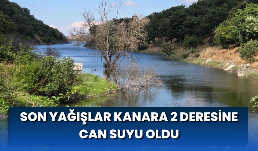 Son Yağışlar Kanara 2 Deresine Can Suyu Oldu