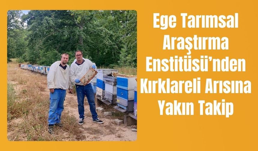 Ege Tarımsal Araştırma Enstitüsü’nden Kırklareli Arısına Yakın Takip