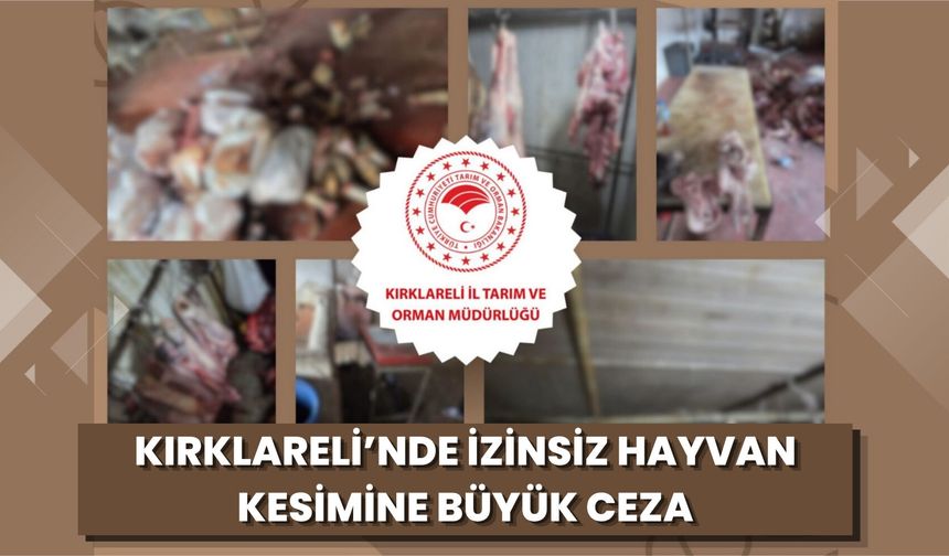 Kırklareli’nde İzinsiz Hayvan Kesimine Büyük Ceza