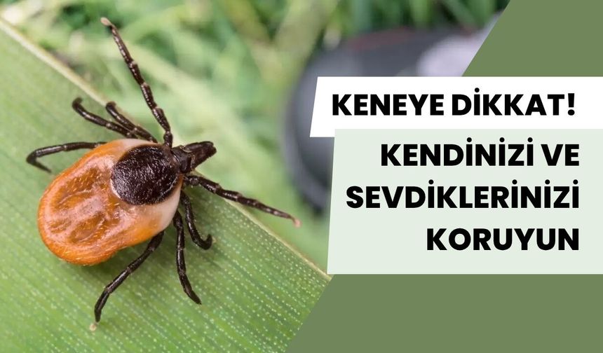 "Keneye Dikkat! Kendinizi ve Sevdiklerinizi Koruyun"
