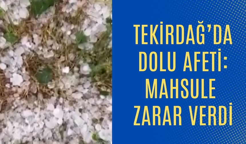 Tekirdağ'da Dolu Afeti: Mahsule Zarar Verdi