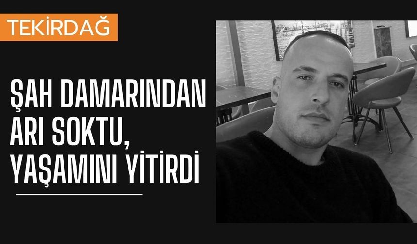 Şah Damarından Arı Soktu, Yaşamını Yitirdi