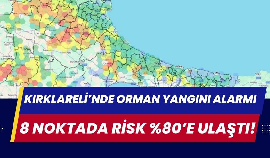 Kırklareli’nde Orman Yangını Alarmı: 8 Noktada Risk %80’e Ulaştı!