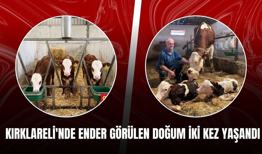Kırklareli'nde Ender Görülen Doğum İki Kez Yaşandı
