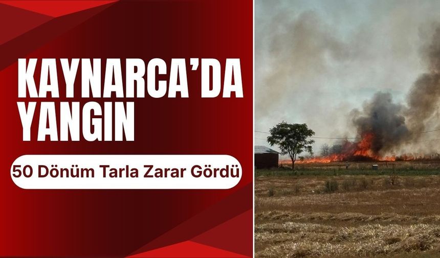 KAYNARCA’DA YANGIN; 50 Dönüm Tarla Zarar Gördü